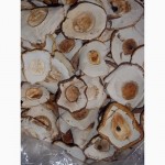 Продам сухие грибы из Закарпаття