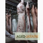 Фото 11. СРОЧНО продам от производителя говядину и свинину на экспорт внутренний рынок с 20 тонн