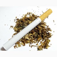 Продам табак фабричный