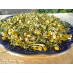 Ромашка лекарственная аптечная урожая 2014 - цветы, осипь, семена.