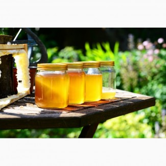 Натуральный мед, разнотравье+ подсолнух