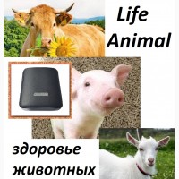 Купи Life Animal для лечения животных. 4 уровня мощности. Кешбэк 10%