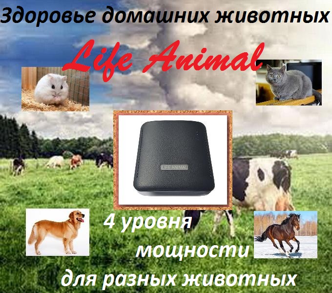 Фото 4. Купи Life Animal для лечения животных. 4 уровня мощности. Кешбэк 10%