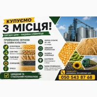 Постійно купуємо зернові та олійні з господарства