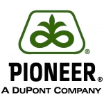 Продажа семян подсолнечника Пионер