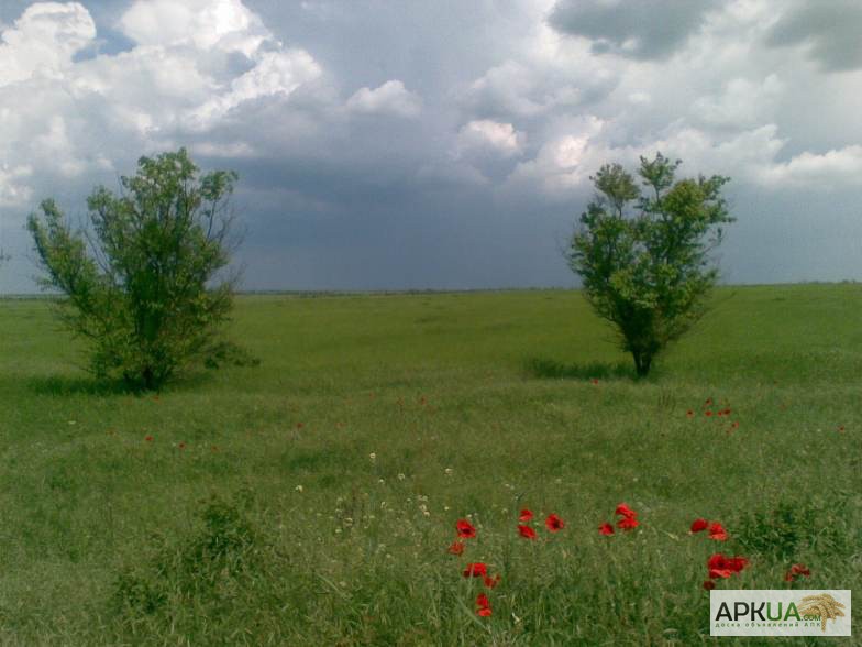 Фото 3. Продам 500 га отличных земель под орошение в Крыму