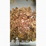 Бой (ПЕРЕРАБОТКА) орехов грецких на оборудовании, очистка и сортировка