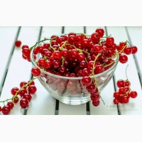 Продам ягоды красной смородины урожай 2018