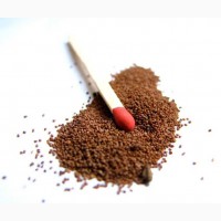 Семена табака 25-ти самых востребованных сортов