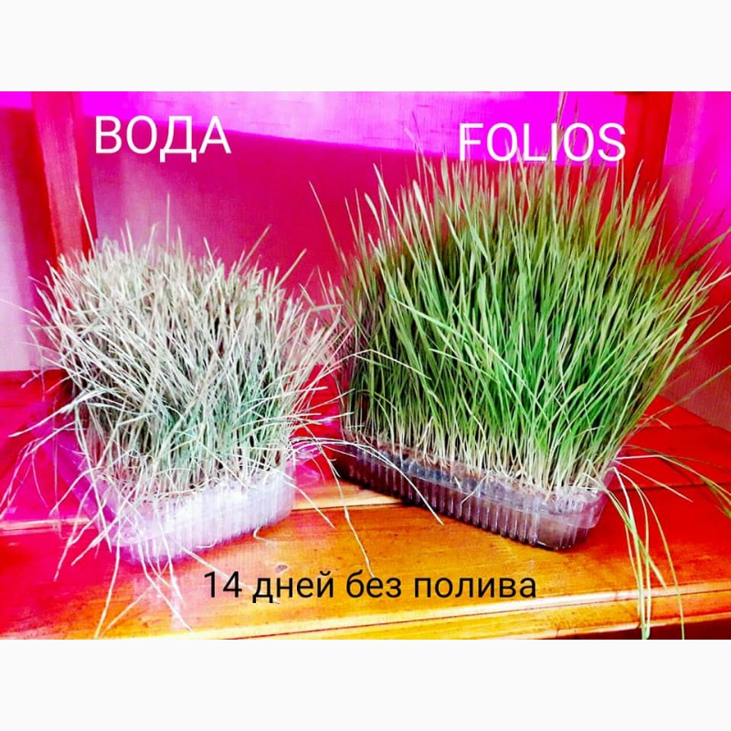 Фото 6. Органічний стимулятор росту рослин FOLIOS універсальний 5л. (концентрат)