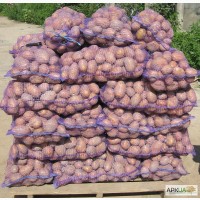 Продам картофель ОПТОМ! Картопля, картошка урожай 2017 года