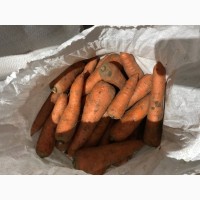 Бюджетная морковь, продаем