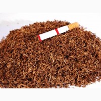 Ферментированный фабричный табак
