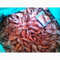 Сушеная черноморская креветка корм для рыб