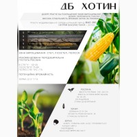 Продам посівний матеріал кукурудзи, гібрид ДБ Хотин