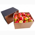 Ящики для Яблок, лоток для яблок, тара для яблок