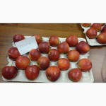 Продаем яблоки (разные сорты) Польша