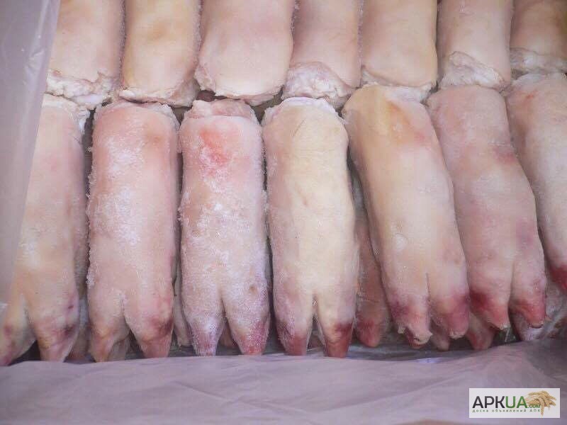 Фото 2. Субпродукты свиные, ноги передние, уши, желудки
