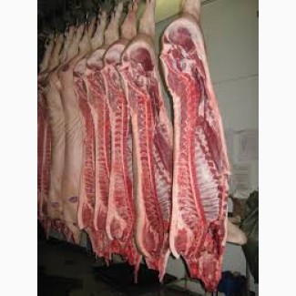 Продаж реализация полутуша свиная доставка