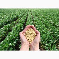 Производитель: Зернобобовые, бобовые, зерновые соя