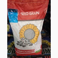Пронто, Seed Grain Company