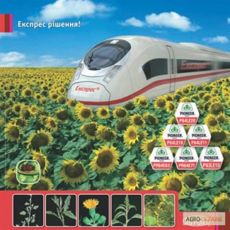 Гербицид Экспресс 750 г/кг компании Du Pont, технология Express Sun