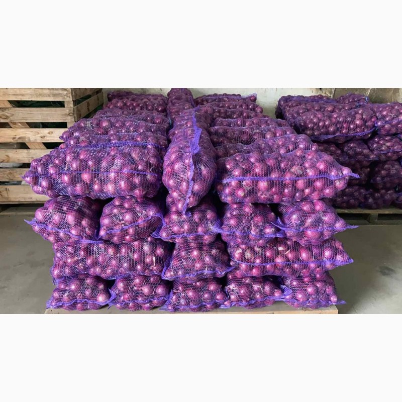 Фото 5. Продам лук фиолетовый от производителей и поставщиков от 20 тонн
