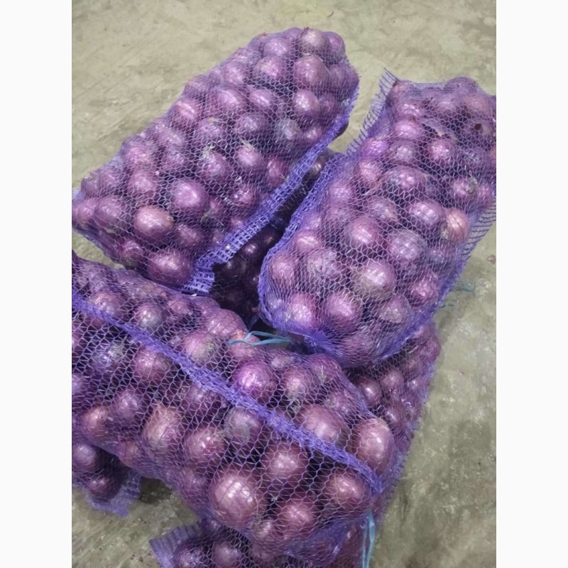 Фото 6. Продам лук фиолетовый от производителей и поставщиков от 20 тонн