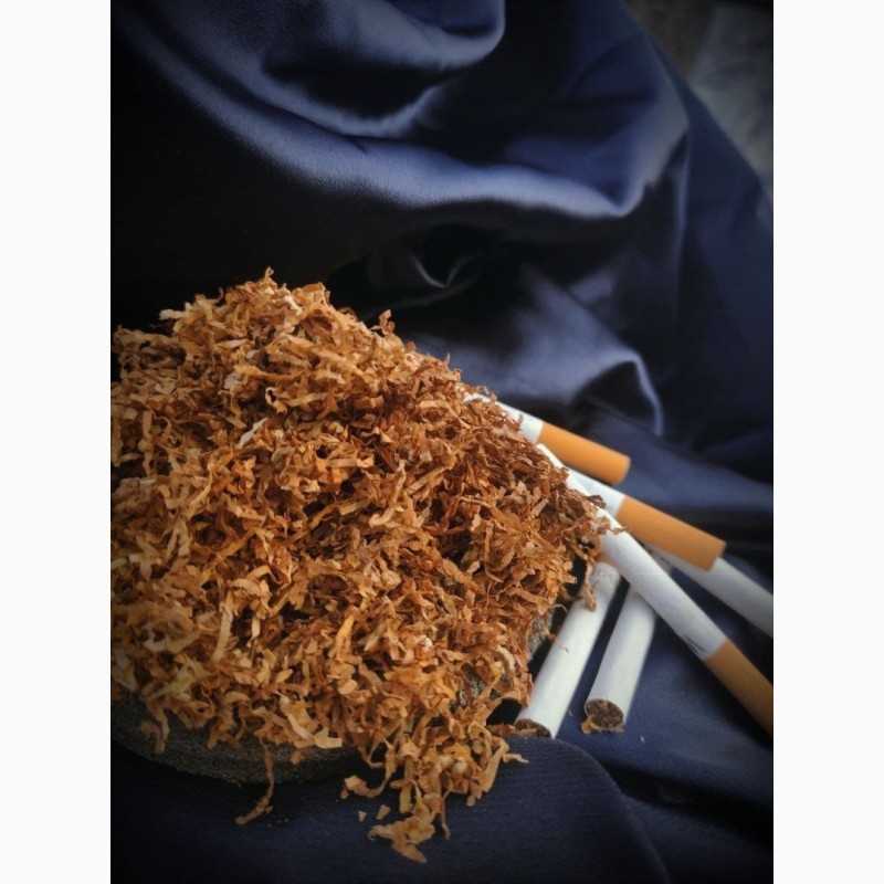Фото 2. Вірджинія, Самосад, Берлі, тютюн, табак