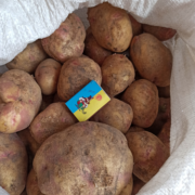 Фото 7. Продам оптом- від 3т товарну картоплю від виробника Арізона, Пікасо
