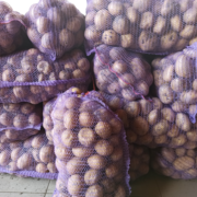 Фото 3. Продам оптом- від 3т товарну картоплю від виробника Арізона, Пікасо