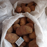 Фото 6. Продам оптом- від 3т товарну картоплю від виробника Арізона, Пікасо