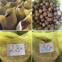 Продаем орех хорошего качества урожая 2018 года ( ЭКСПОРТ )
