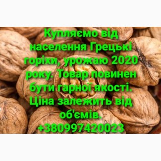 Закупаем со всей Украины Грецкий Орех урожая 2020 года