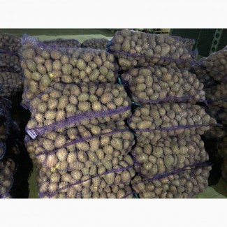 Продам картопля товарна оптом, Черкаська область