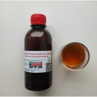 Витяжка із мухоморів на спирту/настойка мухомора/amanita muscaria