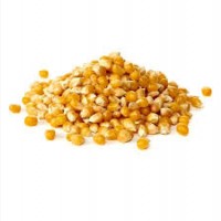 Надлишки фуражної кукурудзи за доступною ціноюцінамиХарківщини