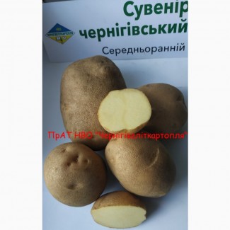 Картопля насіннева еліта від виробника, продаж посадкової картоплі