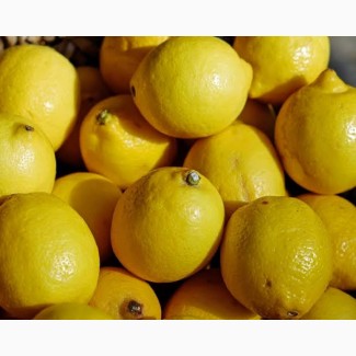 Продам лимоны Турция Мерсин