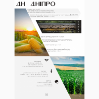 Продам посівний матеріал кукурудзи, гібрид ДН Дніпро