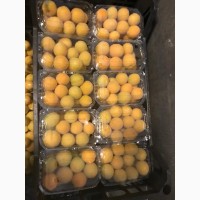 Персик прямые поставки из Турции