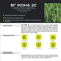 BG Ikona 2S (пшениця мяка, дворучка) Durum Seeds