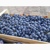 Продам виноград МОЛДОВА