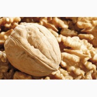 Продам цельный грецкий орех урожая 2017 года. Експортный вариант 28