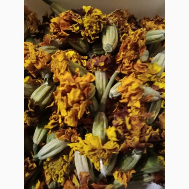 Фото 2. Продам квіти корзинки чорнобривців сухі