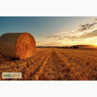 Услуги по тюкованию соломы и сена по Украине