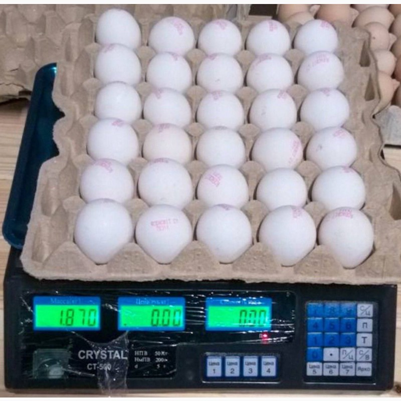 Фото 13. Продам яйцо куриное в асортименте, ОПТ, Киев
