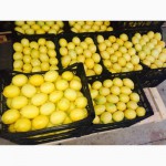 Prodam mandarin#305;, apelsin#305;, limon#305;, granat#305;, greypfrukt#305; Turkey -
