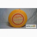 Продам сыр и сырный продут оптом от производителя