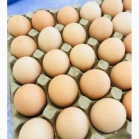 Яйцо пищевое, столовое С2, яйця курині Харчові